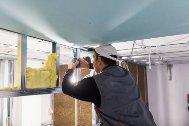 Best Spray Foam Insulation in Marine, IL