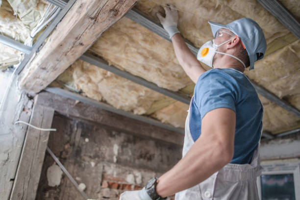 Best Geographic-Specific Insulation Services in Marine, IL