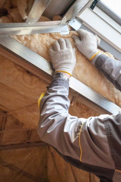 Professional Insulation Contractor in Marine, IL