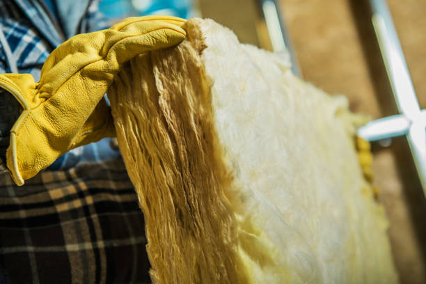 Best Eco-Friendly Insulation in Marine, IL