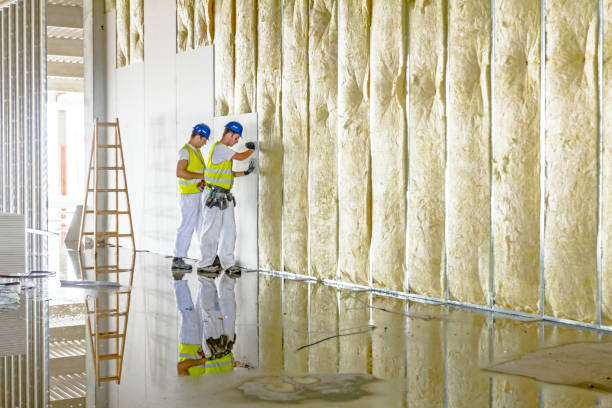 Best Residential Insulation in Marine, IL